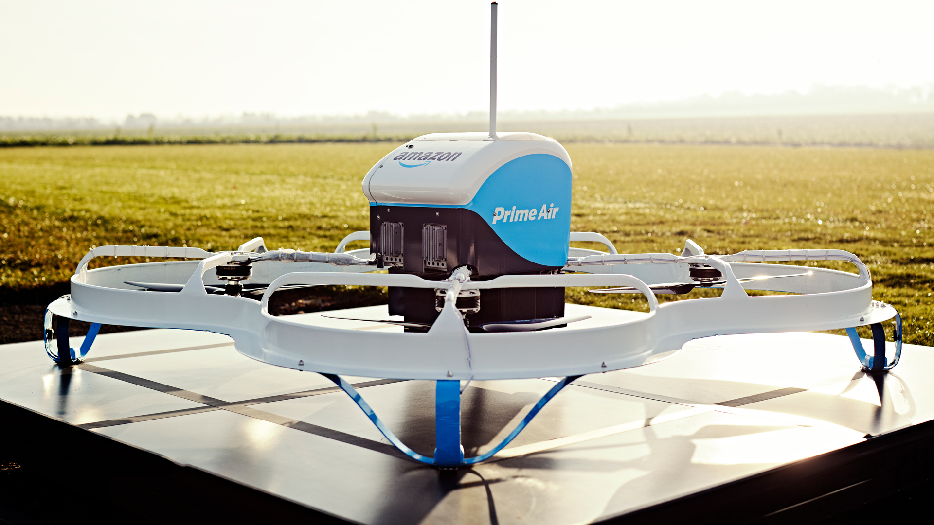 Amazon Drone in a Field